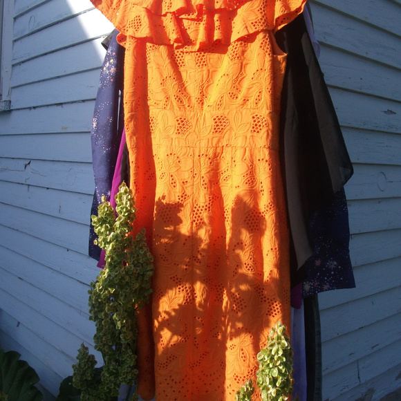 Eliza J NY Sz 4 ORANGE 100% COTTON 2 POCKETS Dress - Picture 6 of 6